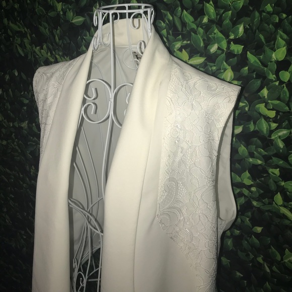 Rare NWT Haute Hippie Swan Lace Anthropologie Vest - Picture 3 of 6